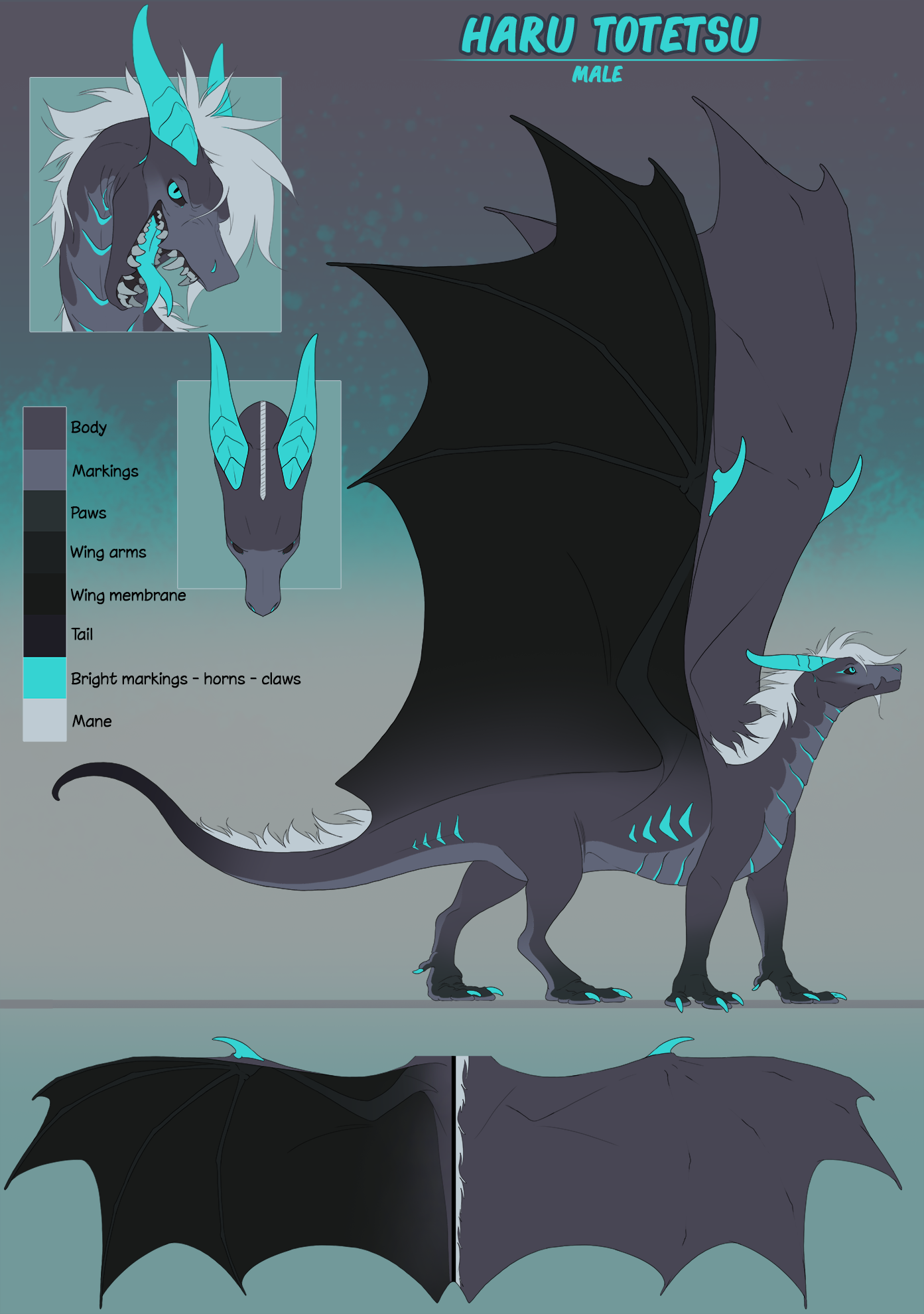 Haru Totetsu: Dragon - Reference Sheet (SFW) - By @harutotetsu on Itaku