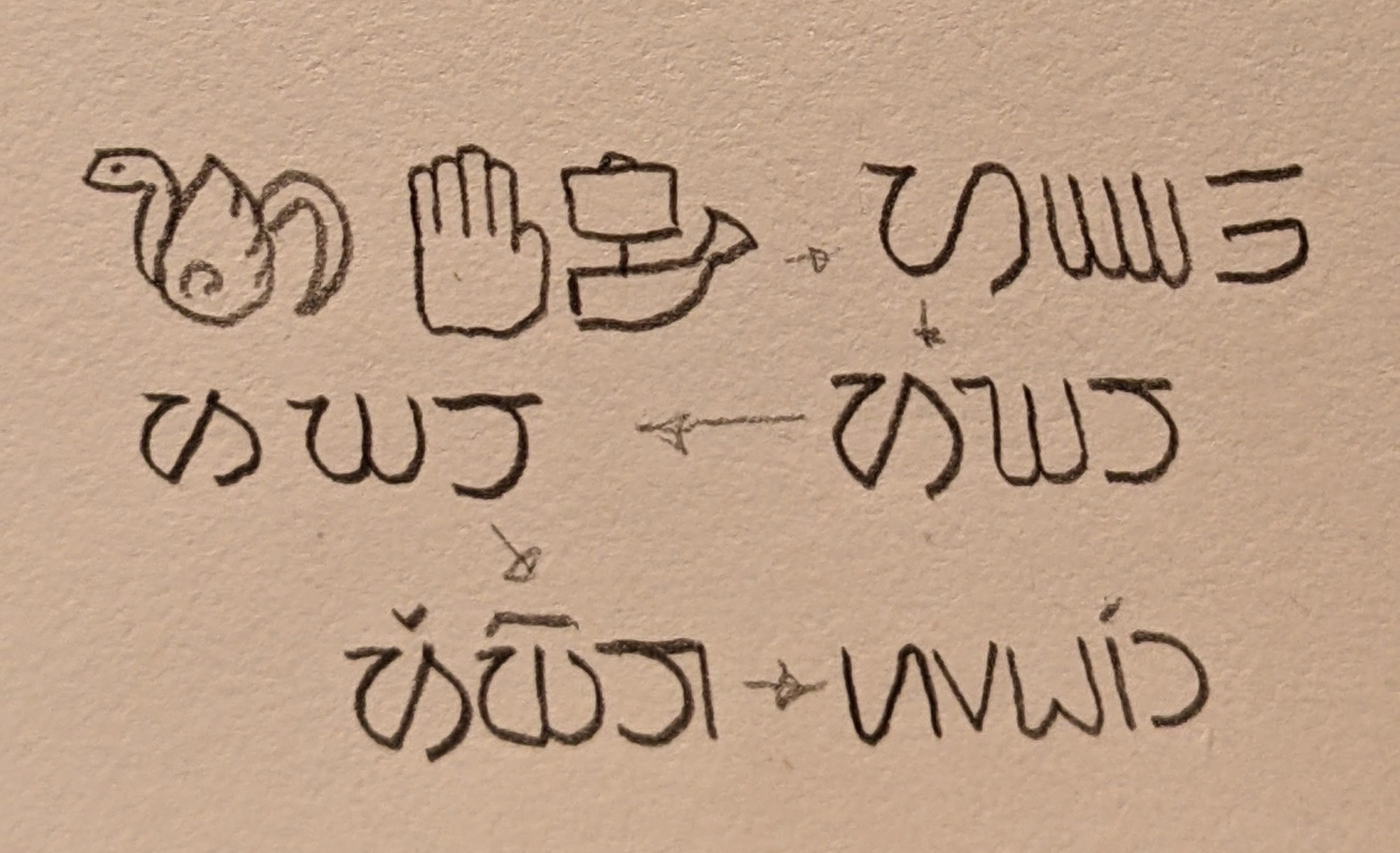 Script Evolution Ideas - By @spacerobin on Itaku