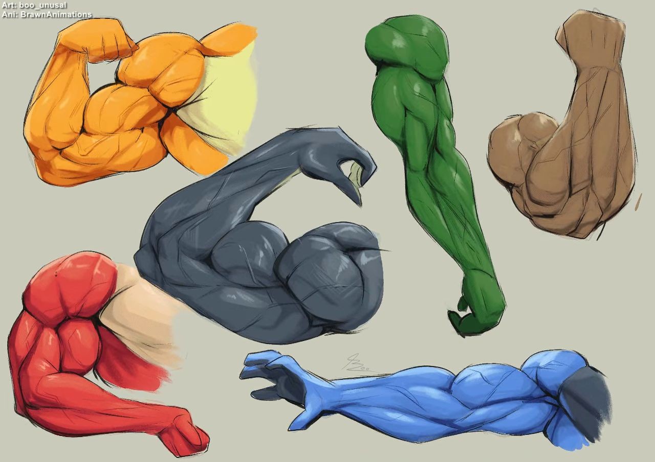 Arm Practice / Study by usualboo - By @brawnanimations on Itaku