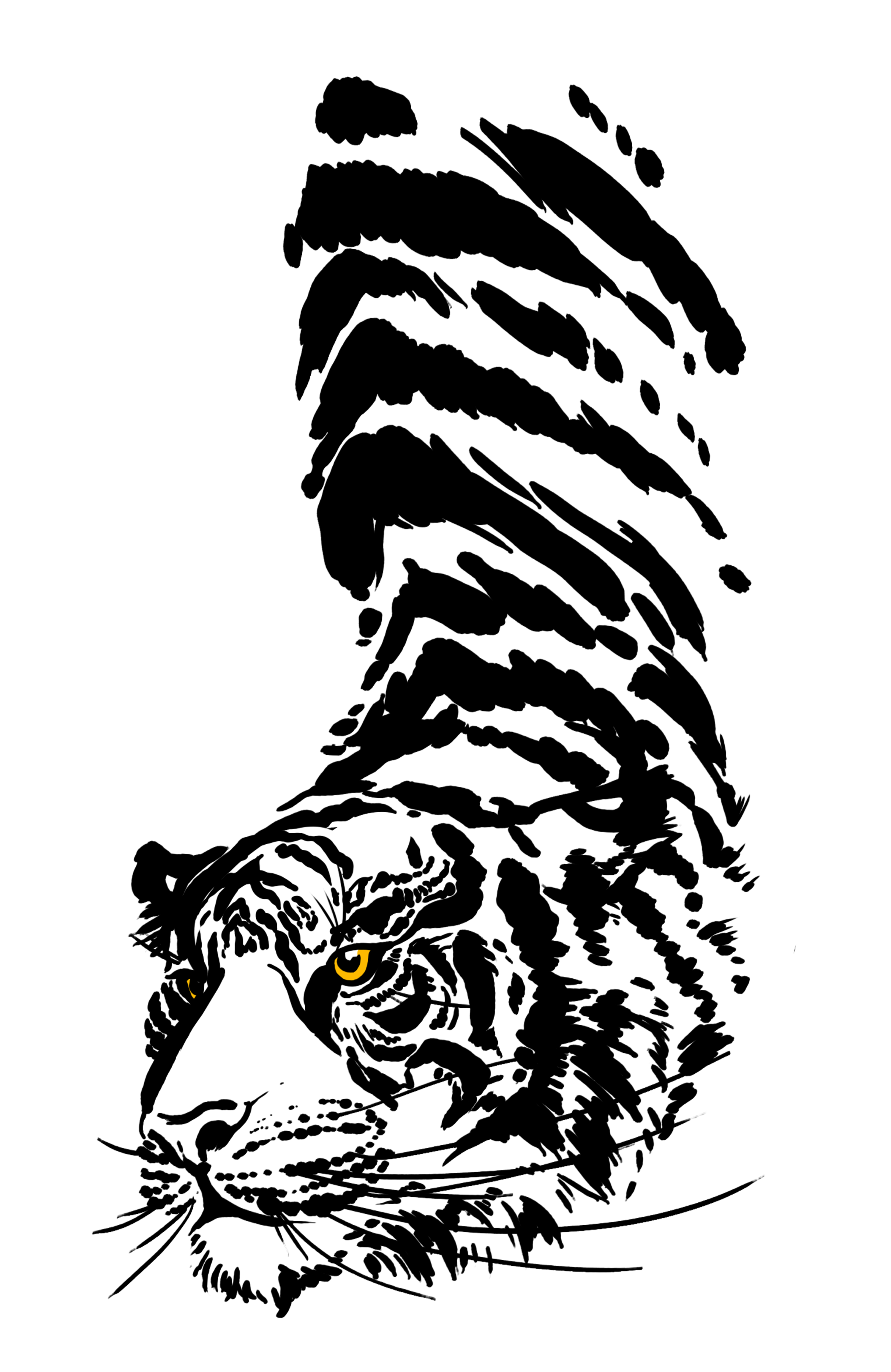 Tiger Golden Eyes By wyntair on Itaku