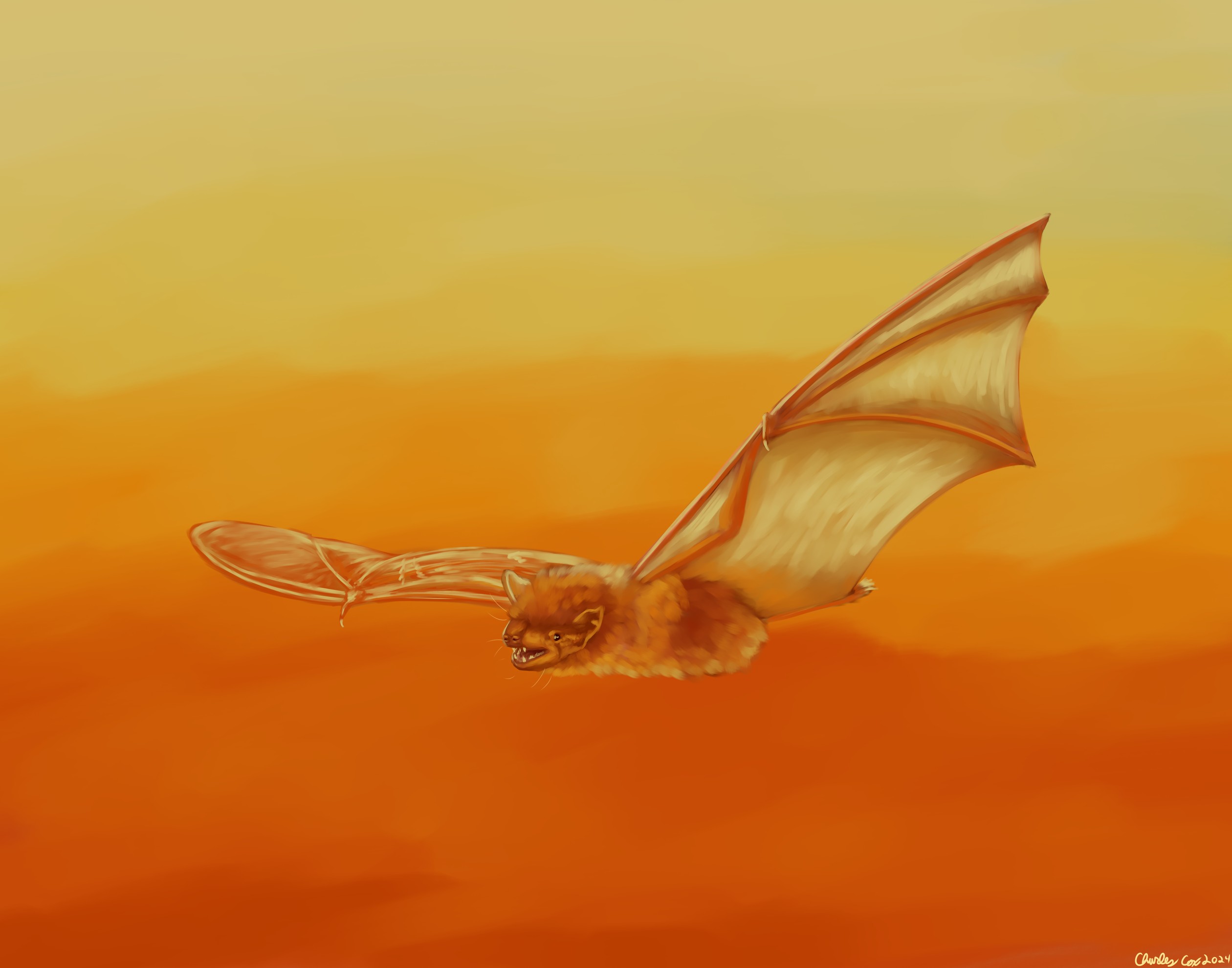 Evening Bat Speedpiant - By @bernad on Itaku