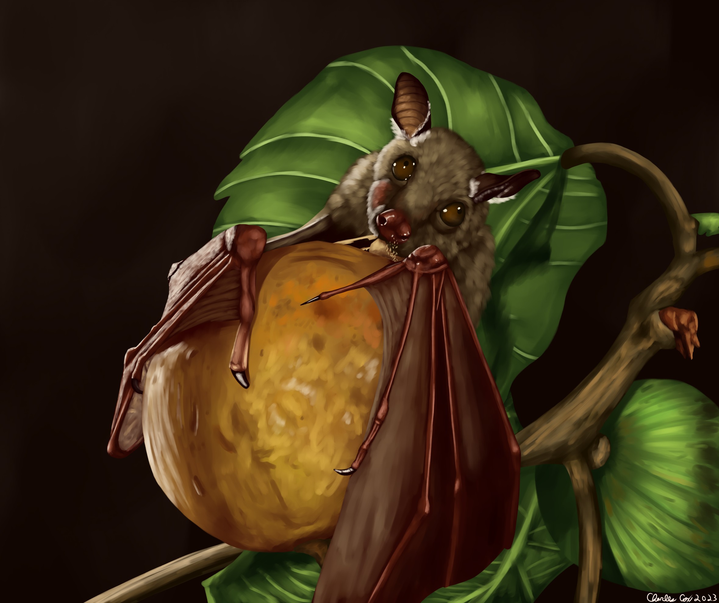 Peter's Epauletted Fruit Bat Speedpaint - By @bernad on Itaku