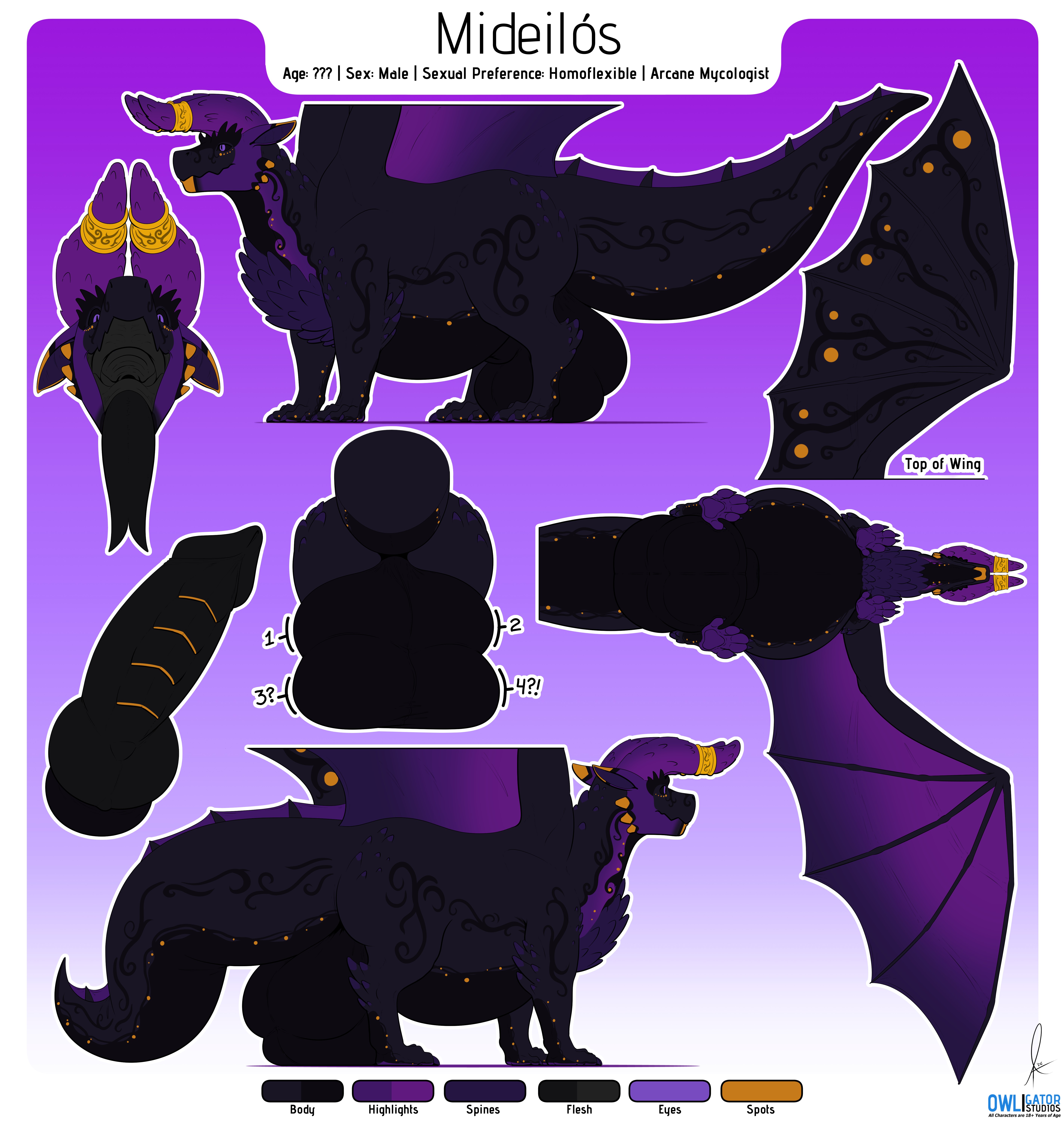 Reference Sheet - Mideilos - By @owligatorstudios on Itaku