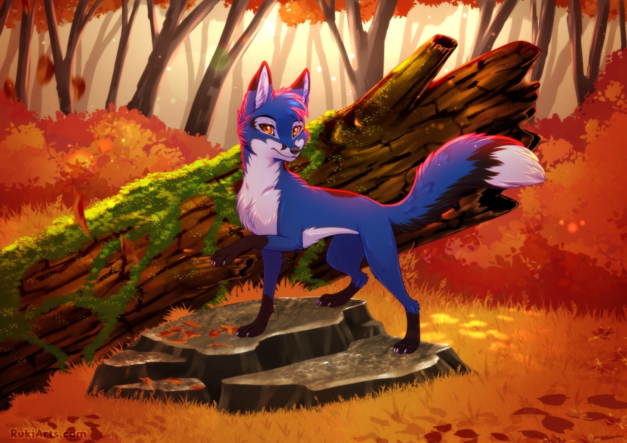 [COM] for RaceFox - By @rukifox on Itaku