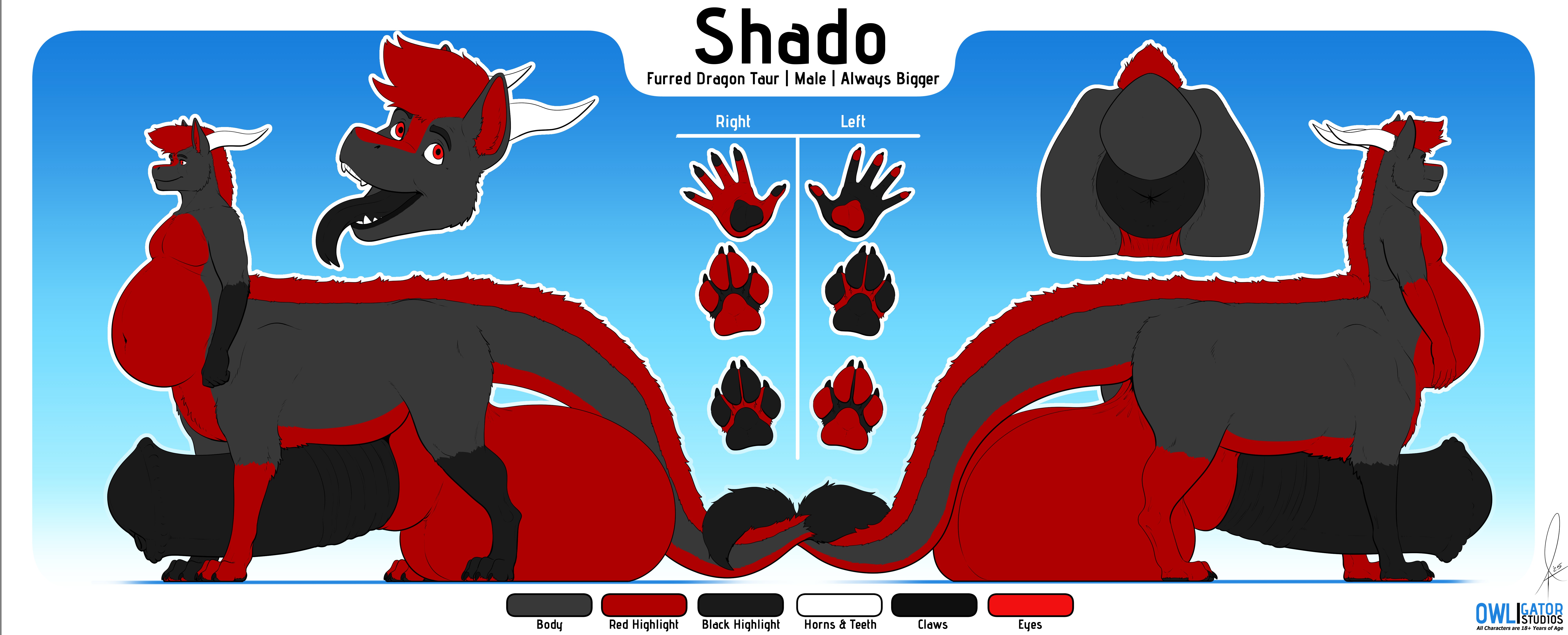 Reference Sheet - Shado - By @owligatorstudios on Itaku