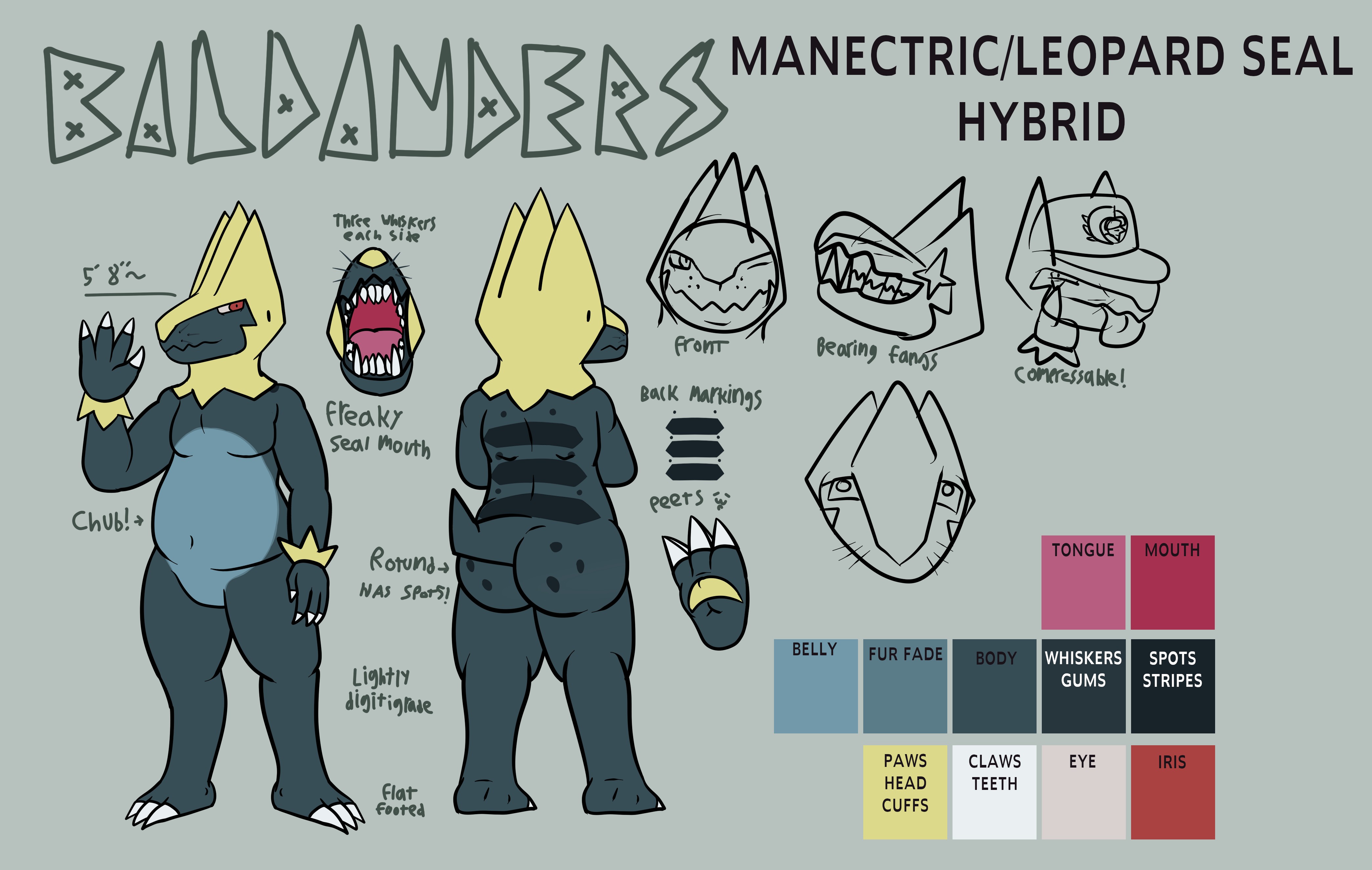 Baldanders Reference Sheet (SFW) - By @baldanders on Itaku